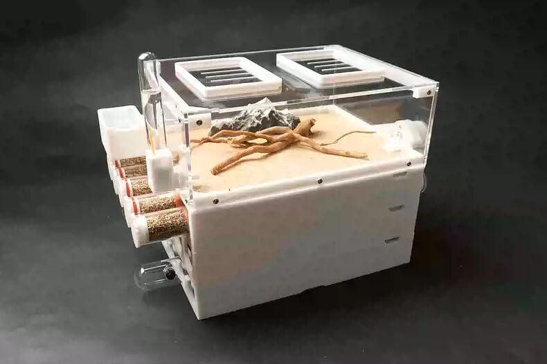 Stackable Ant Nest - AntDen