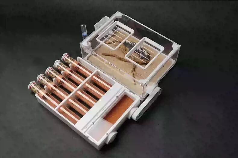 Stackable Ant Nest - AntDen