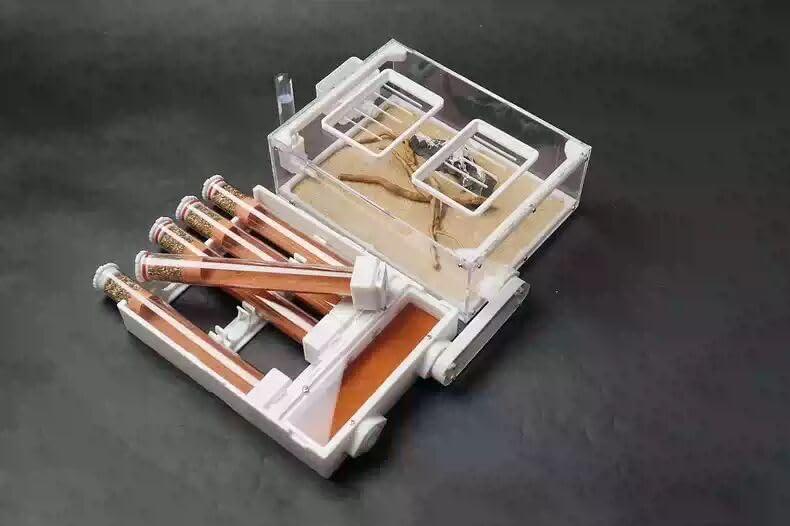 Stackable Ant Nest - AntDen