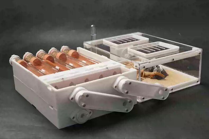Stackable Ant Nest - AntDen