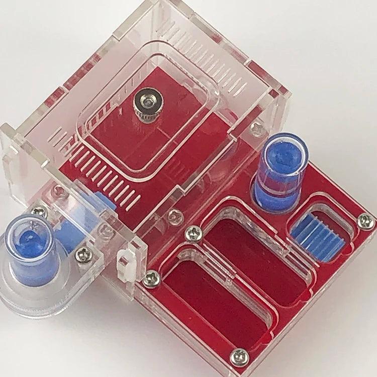 mini Climbing Pet Ant Farm Acrylic Plane Nest Ant Nest Ant Workshop Horizontal Stripes Hunting Sickle Ant Nest - AntDen