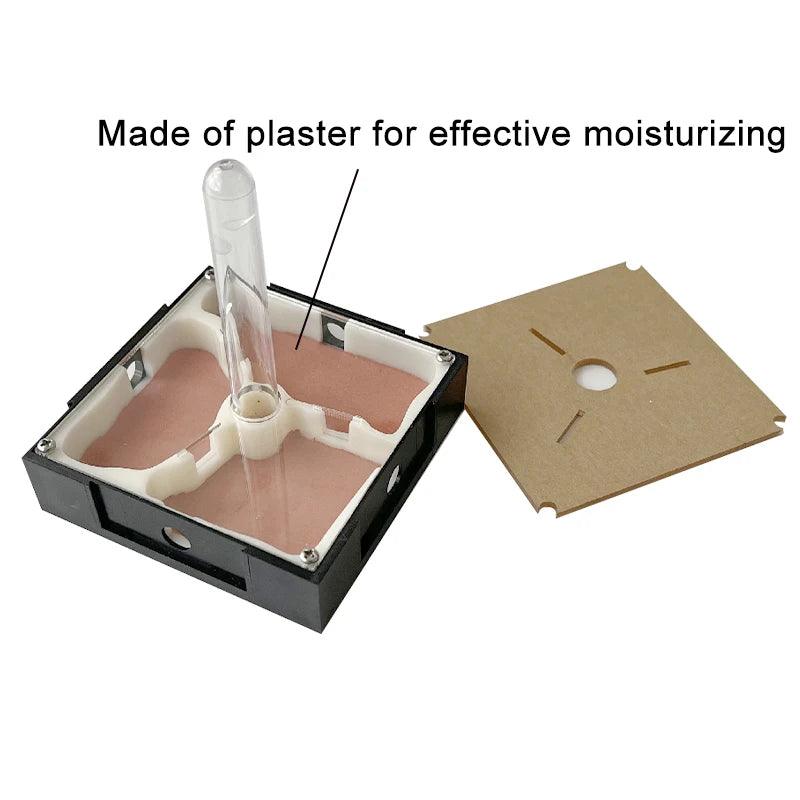 Acrylic Ant Farm Unlimited Expansion Ant Nest with Feeding Area Gypsum Ant House Pet Anthill Workshop Moisturizing Water Tower - AntDen