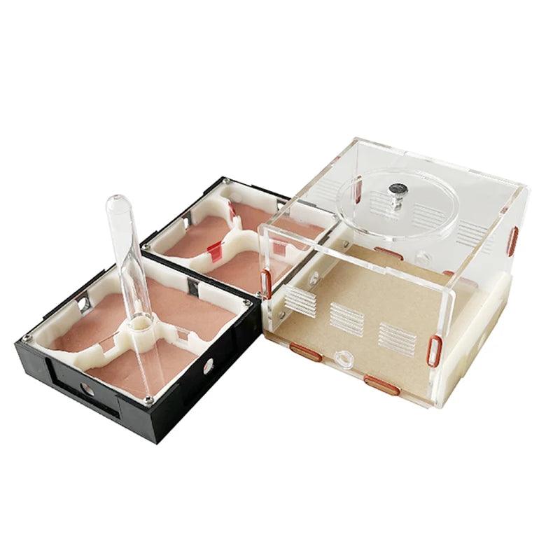 Acrylic Ant Farm Unlimited Expansion Ant Nest with Feeding Area Gypsum Ant House Pet Anthill Workshop Moisturizing Water Tower - AntDen
