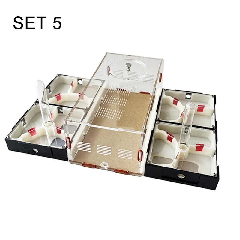 Acrylic Ant Farm Unlimited Expansion Ant Nest with Feeding Area Gypsum Ant House Pet Anthill Workshop Moisturizing Water Tower - AntDen