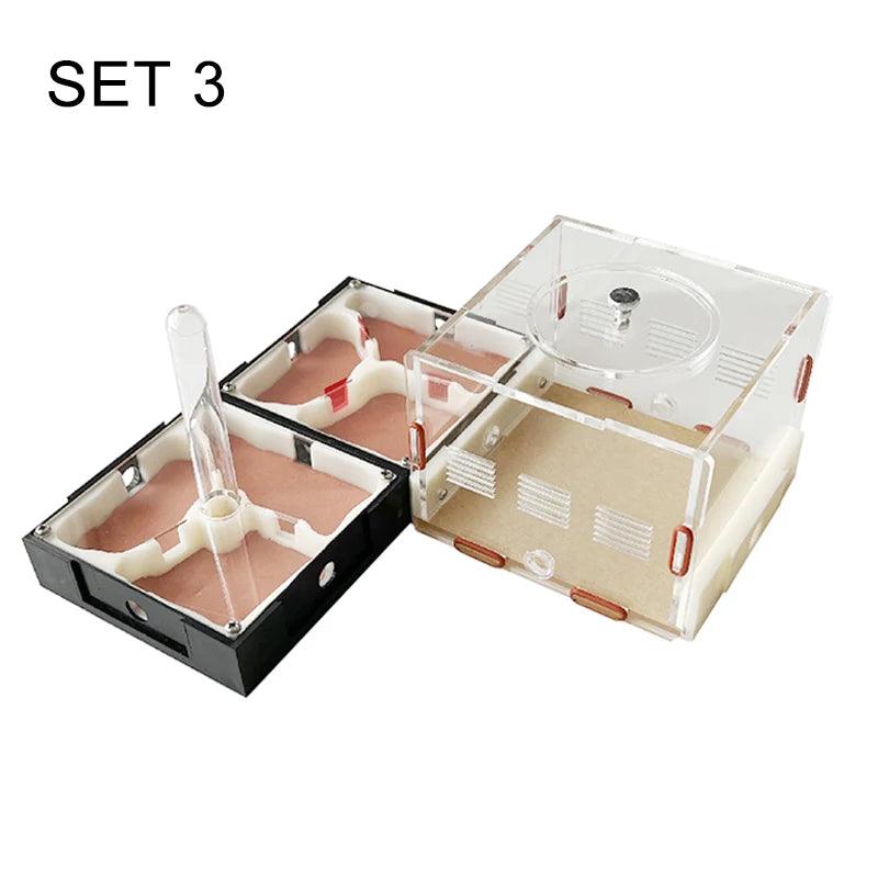 Acrylic Ant Farm Unlimited Expansion Ant Nest with Feeding Area Gypsum Ant House Pet Anthill Workshop Moisturizing Water Tower - AntDen