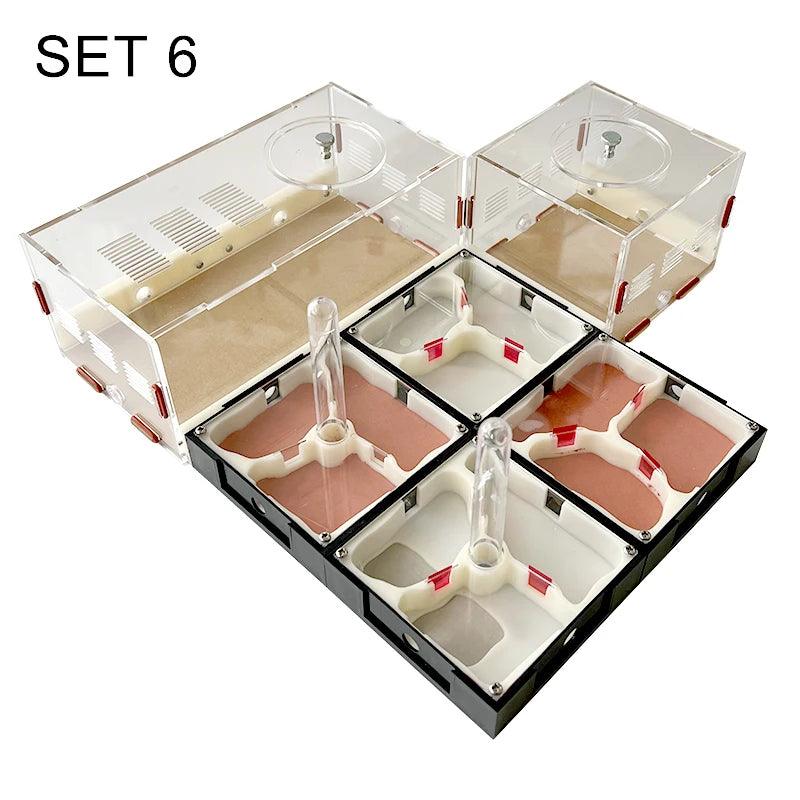 Acrylic Ant Farm Unlimited Expansion Ant Nest with Feeding Area Gypsum Ant House Pet Anthill Workshop Moisturizing Water Tower - AntDen