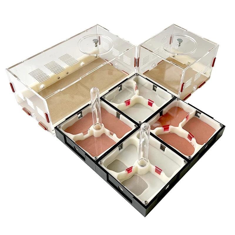 Acrylic Ant Farm Unlimited Expansion Ant Nest with Feeding Area Gypsum Ant House Pet Anthill Workshop Moisturizing Water Tower - AntDen