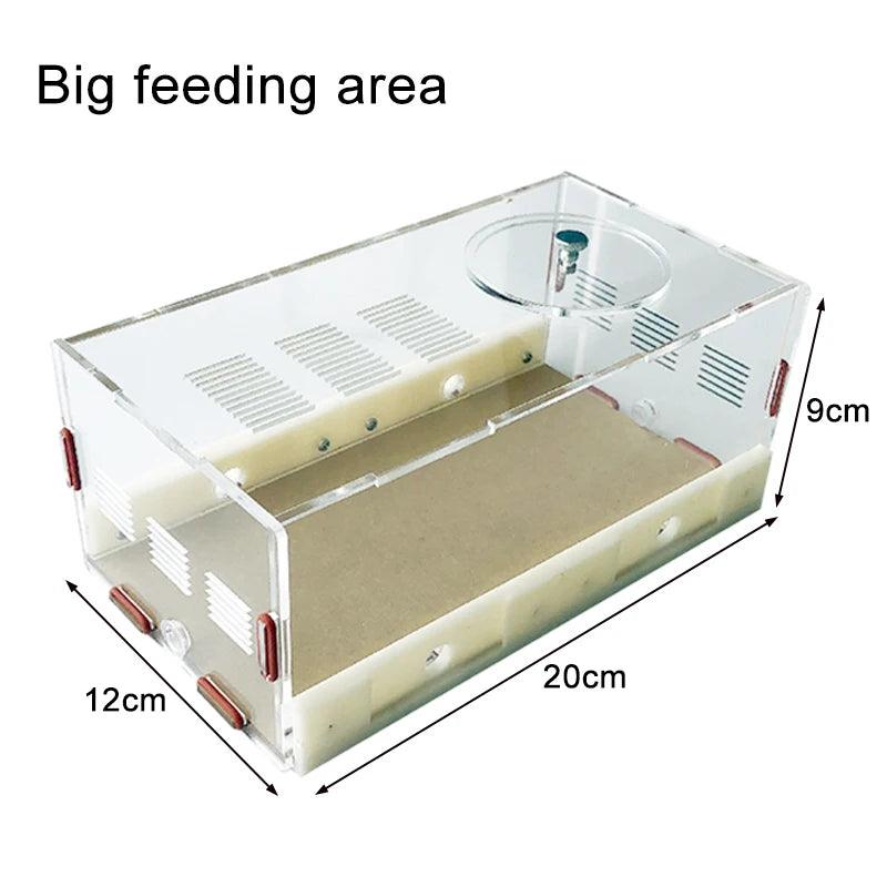 Acrylic Ant Farm Unlimited Expansion Ant Nest with Feeding Area Gypsum Ant House Pet Anthill Workshop Moisturizing Water Tower - AntDen