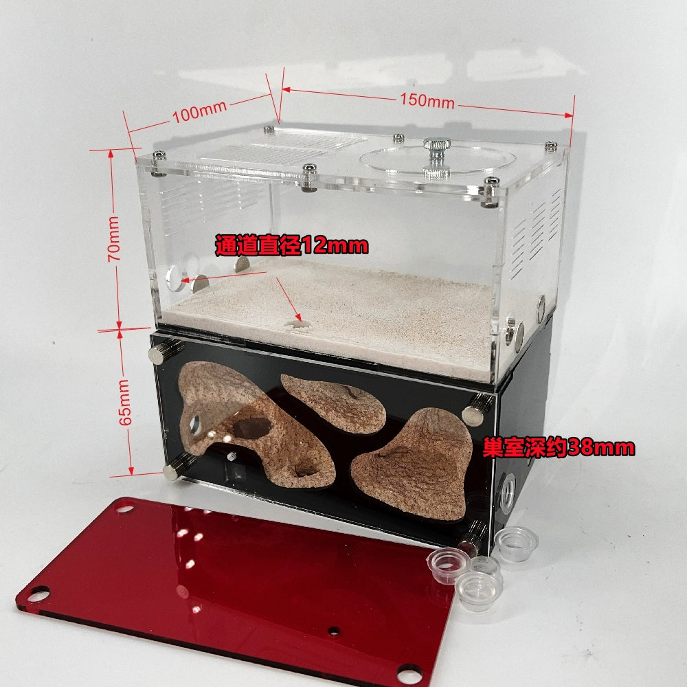 Temperature-controlled concrete ant nest