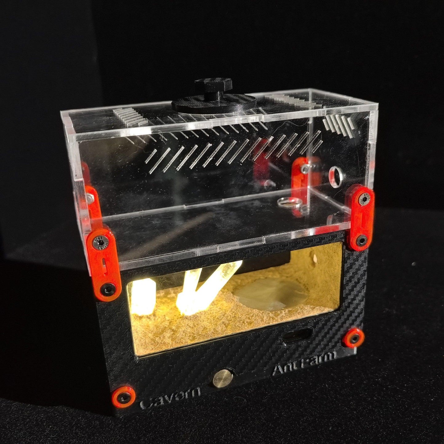 Cave 3D Ant Nest - AntDen