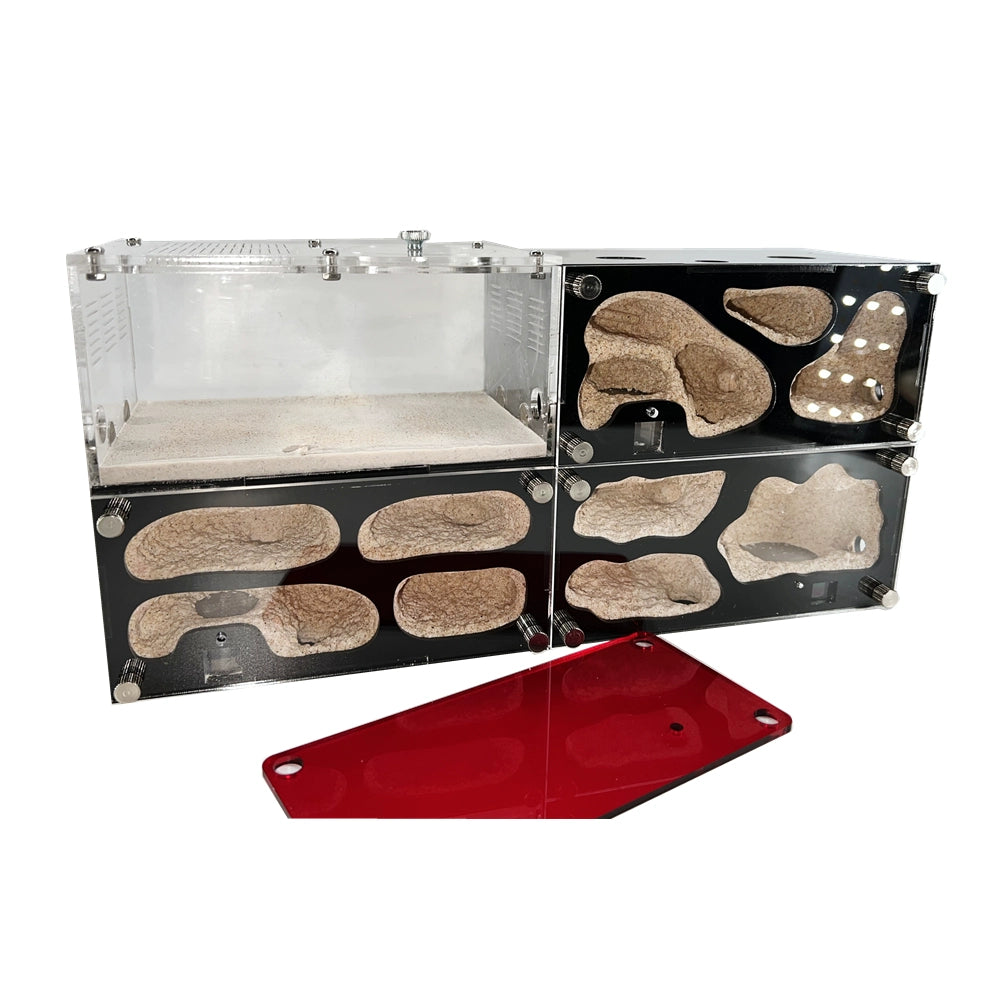 Temperature-controlled concrete ant nest