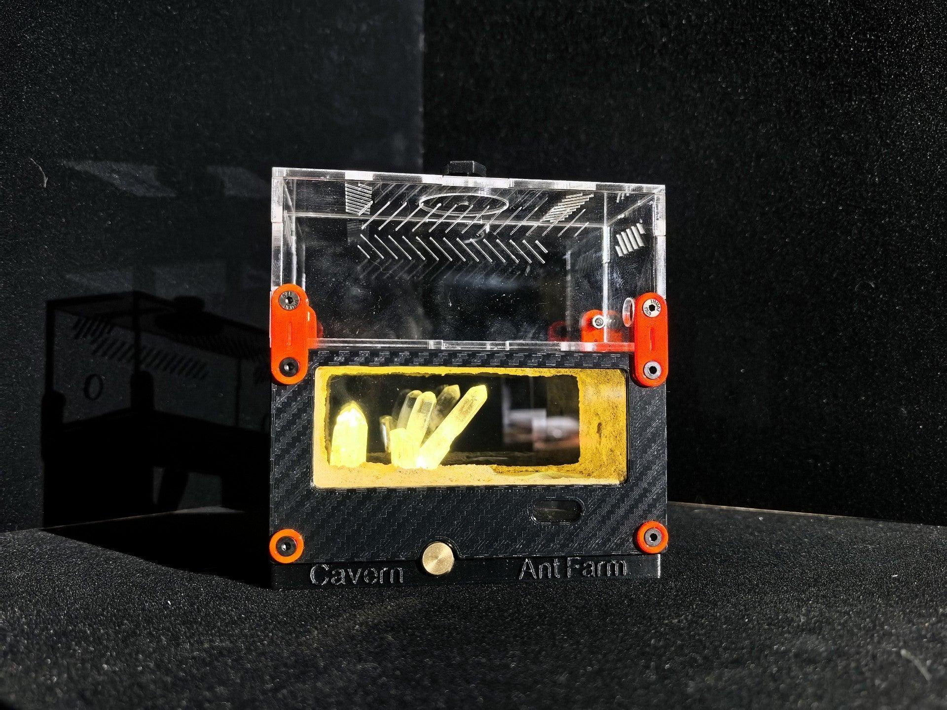 Cave 3D Ant Nest - AntDen