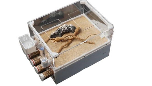Stackable Ant Nest - AntDen