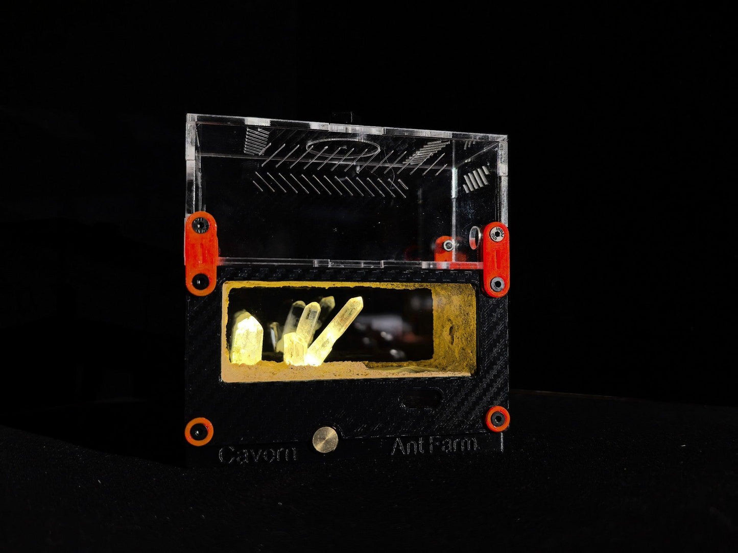 Cave 3D Ant Nest - AntDen