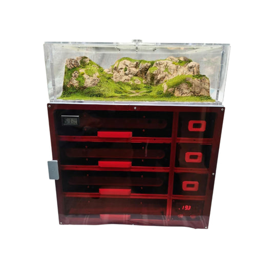 Drawer Ant Nest - AntDen