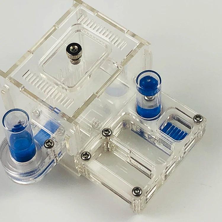 mini Climbing Pet Ant Farm Acrylic Plane Nest Ant Nest Ant Workshop Horizontal Stripes Hunting Sickle Ant Nest - AntDen