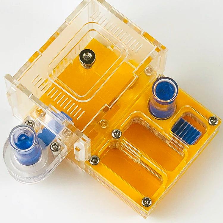 mini Climbing Pet Ant Farm Acrylic Plane Nest Ant Nest Ant Workshop Horizontal Stripes Hunting Sickle Ant Nest - AntDen